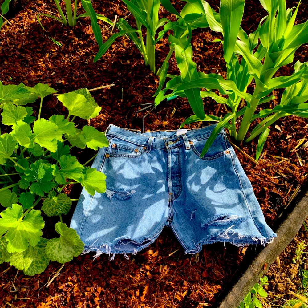 Levi’s 501 Jean shorts 30 inch waist
